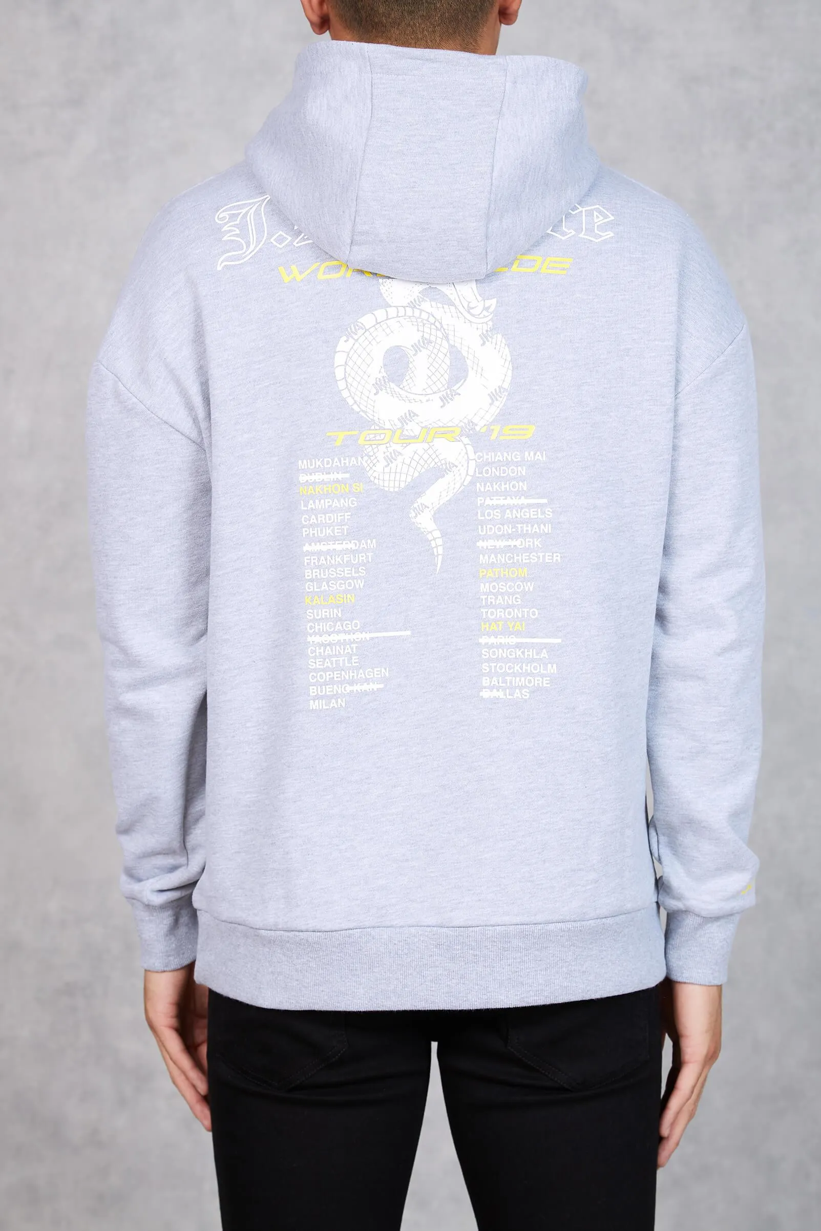 Cobra Worldwide Tour Hoodie - Grey Marl