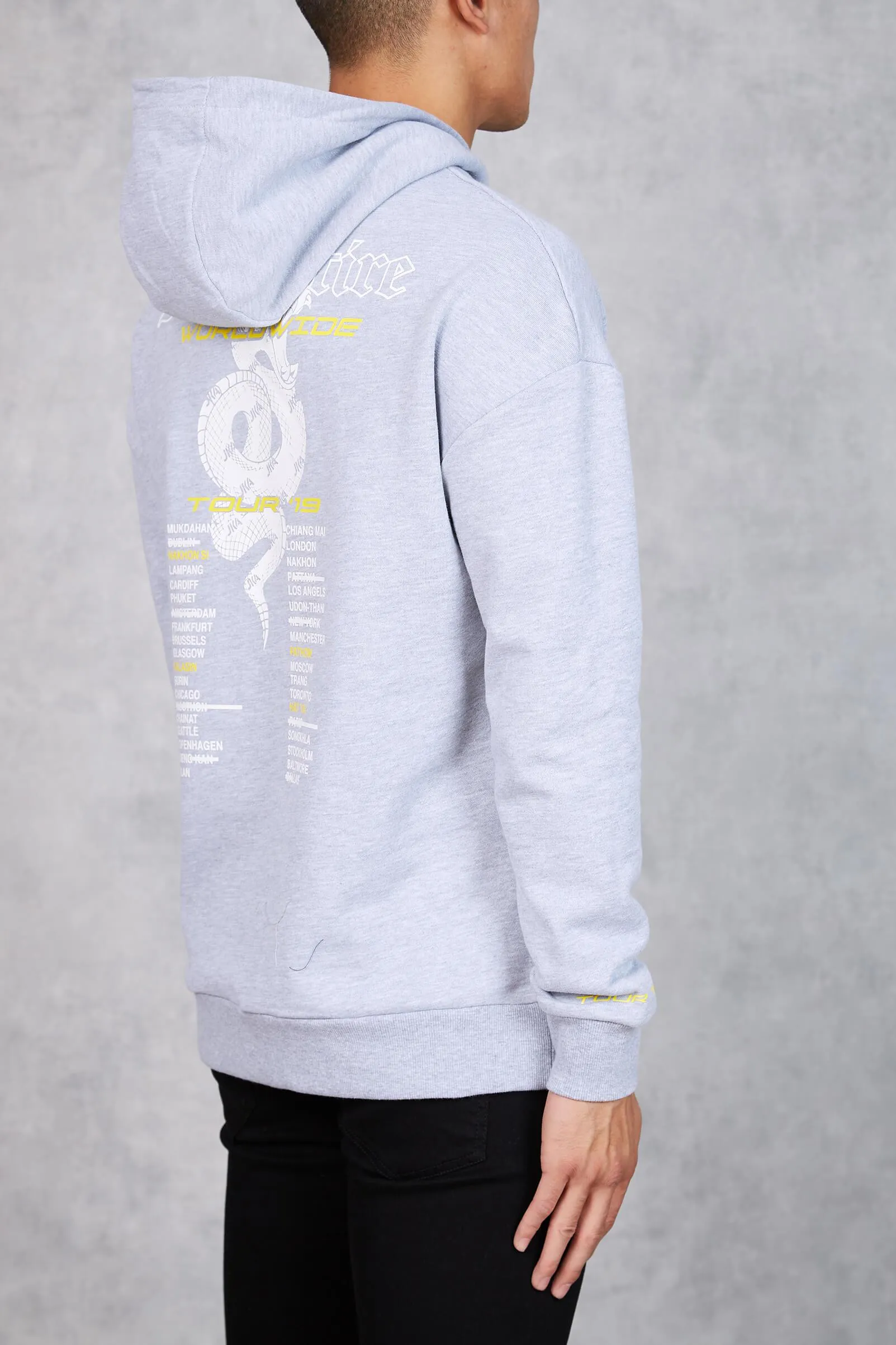 Cobra Worldwide Tour Hoodie - Grey Marl