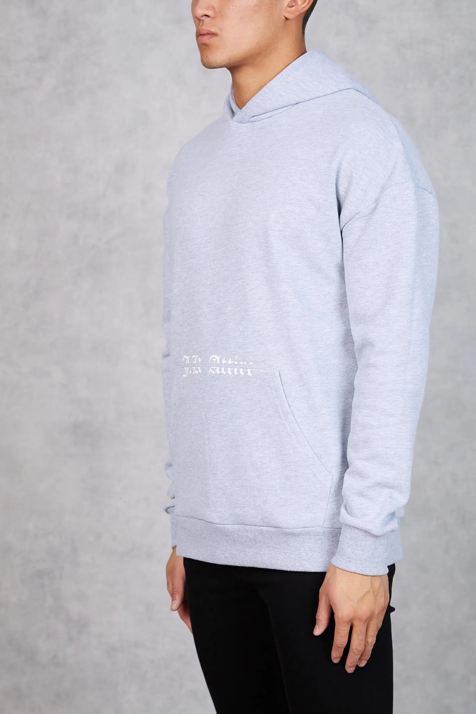 Cobra Worldwide Tour Hoodie - Grey Marl