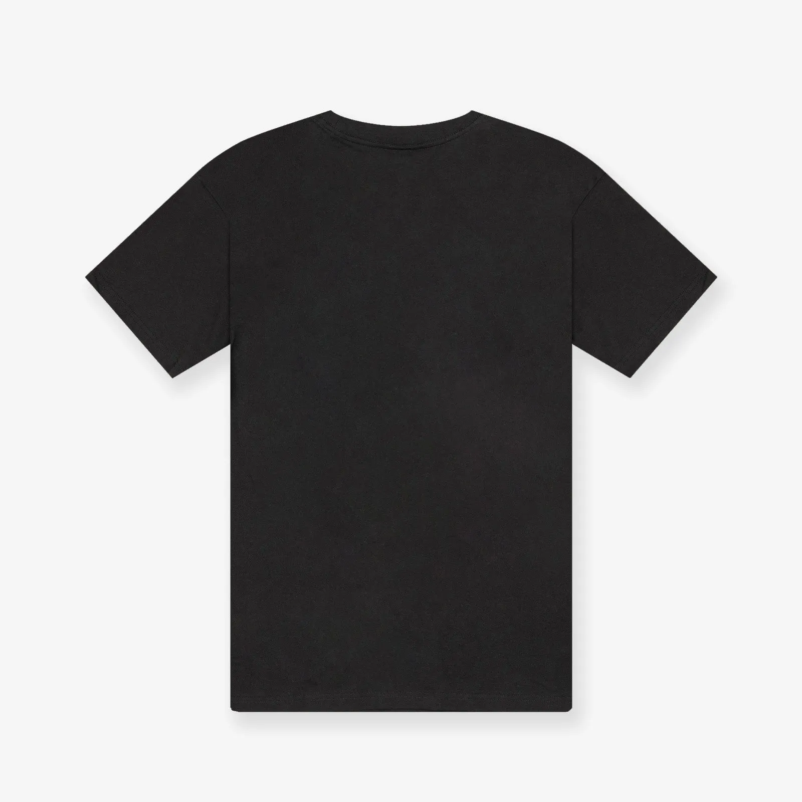 Dennis Rodman Chicago Bulls Player Graphic T-Shirt - Black