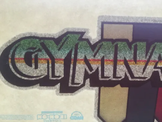 Gymnastics Vintage Glitter Iron On Heat Transfer