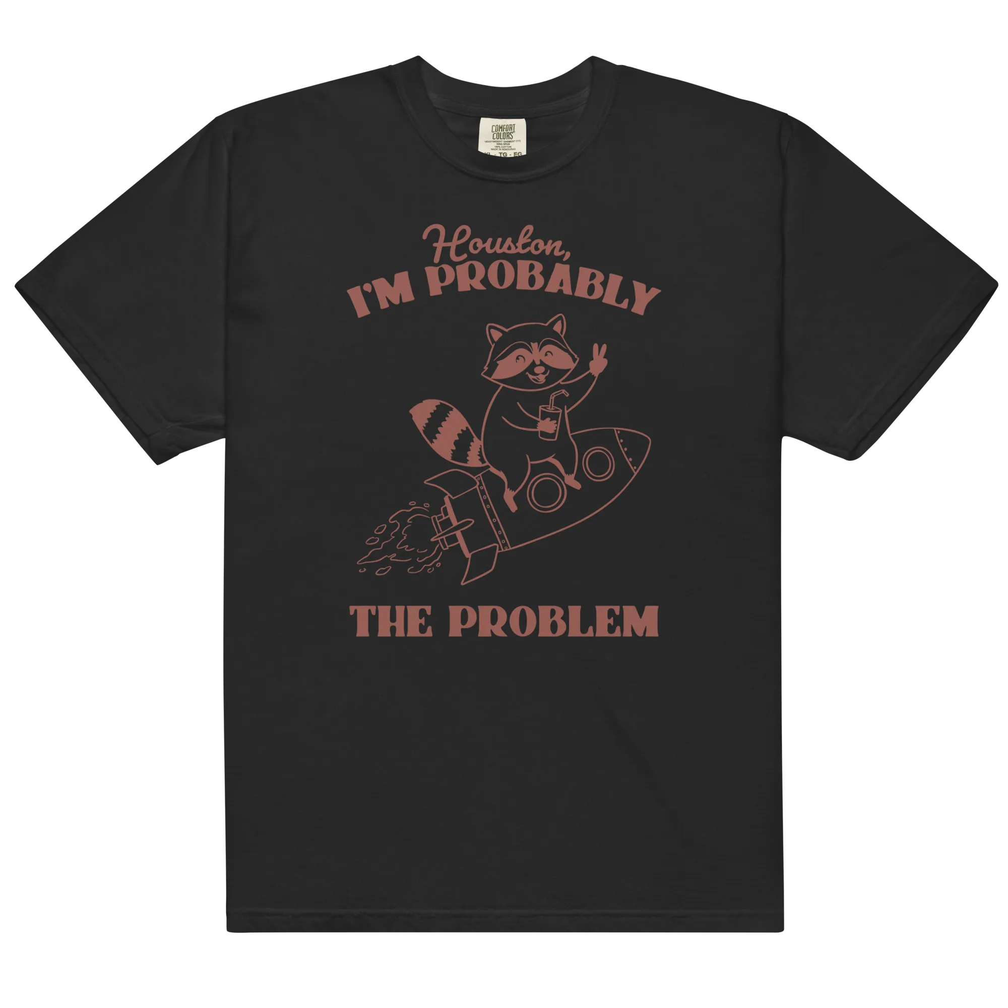 Houston I'm Probably The Problem Premium T-Shirt