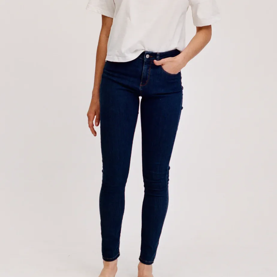 Ivy Alexa Ankle Skinny Jean