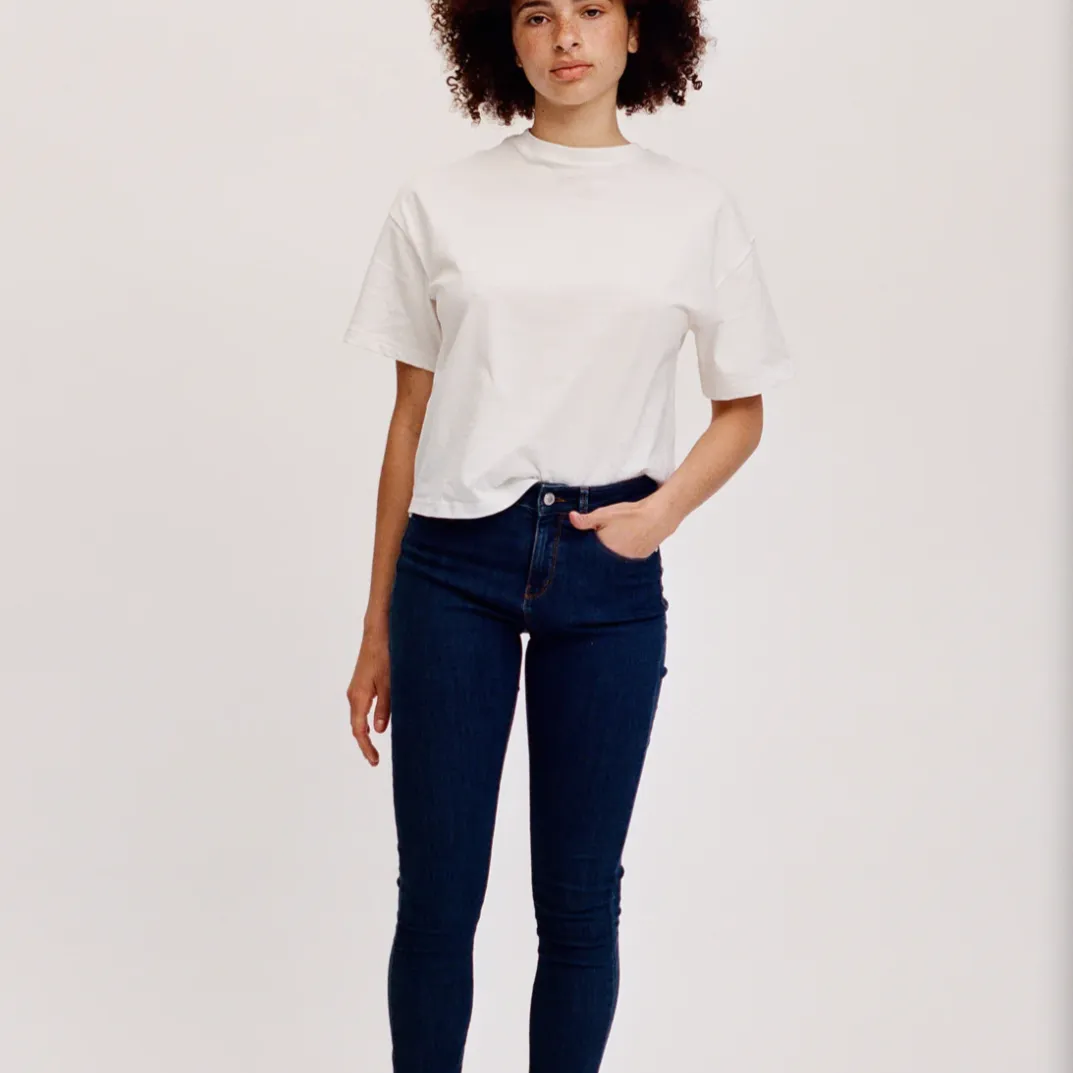 Ivy Alexa Ankle Skinny Jean