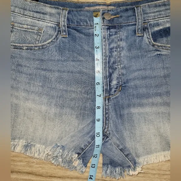 Joe's Jeans Relaxed Raw Hem Denim Shorts In MIA