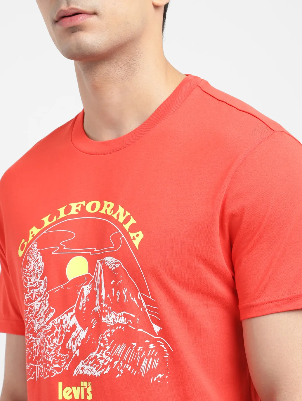 Men's Graphic Print Regular Fit T-shirt