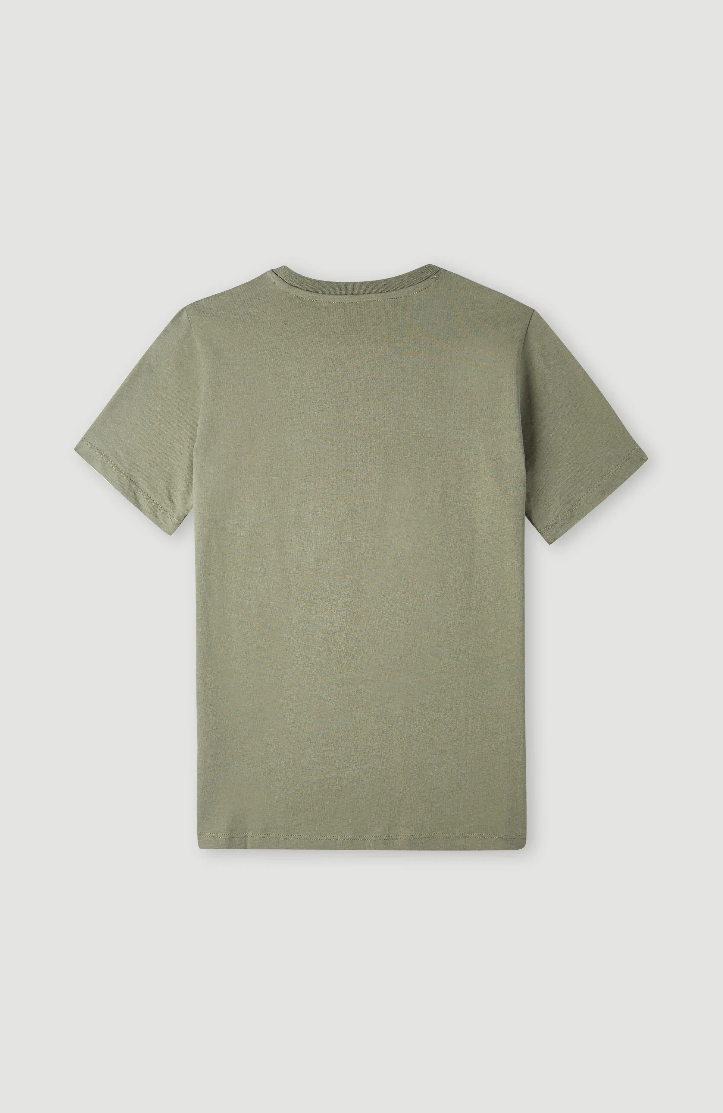 Muir T-Shirt | Deep Lichen Green