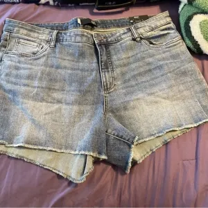 NWT Kut From The Kloth High Rise Gidget Fray Short Size 20W