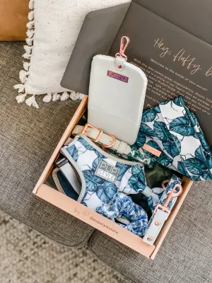 Palm Vibes Bundle