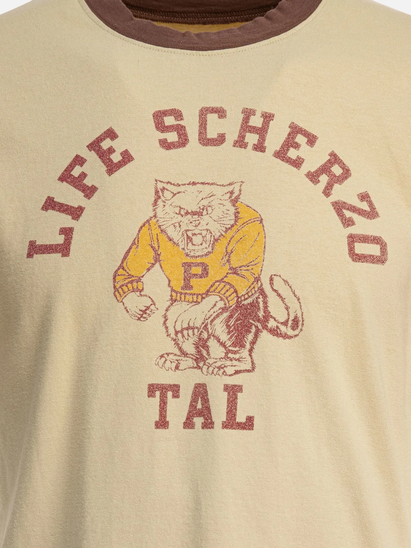 "College CAT PITAL" T-shirt