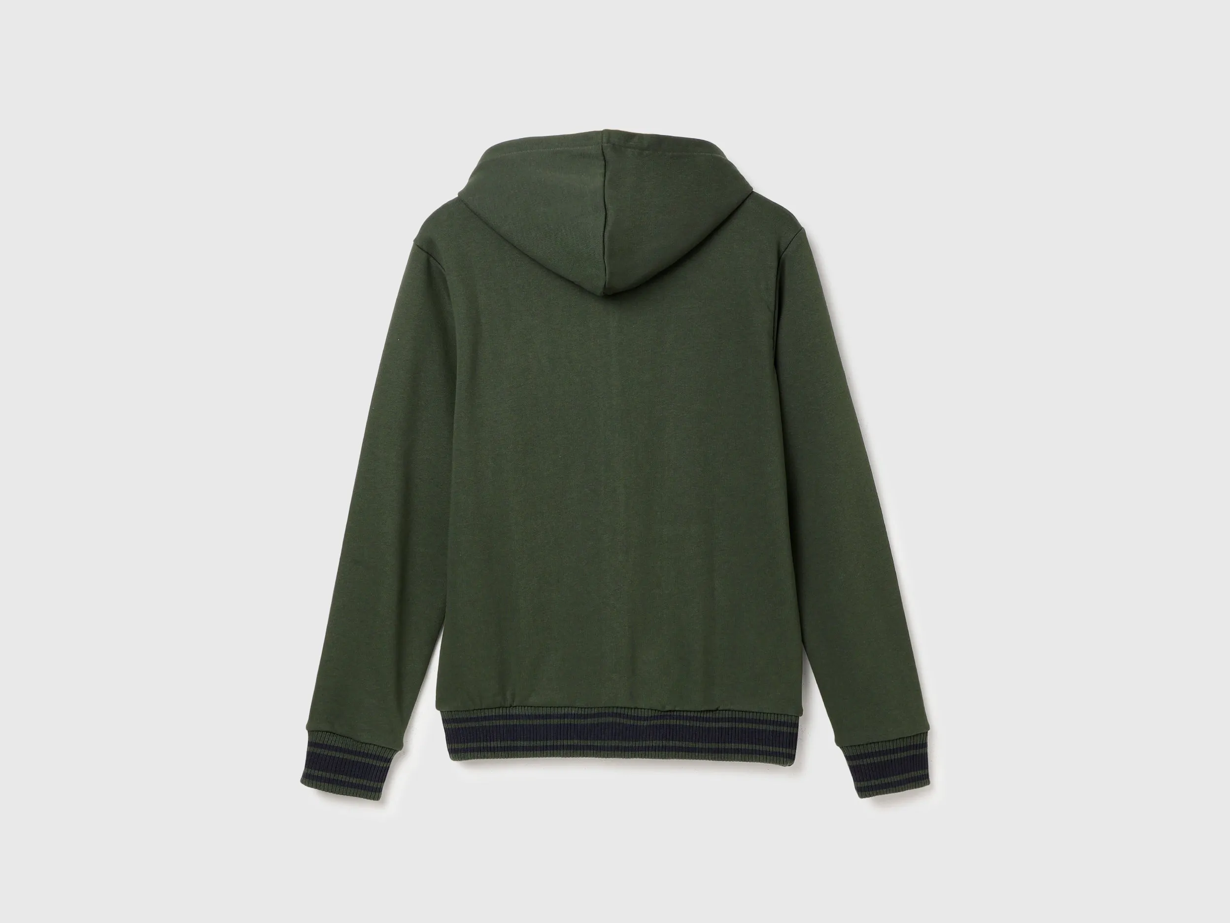 Regular Fit Hooded Solid Sweatshirt
