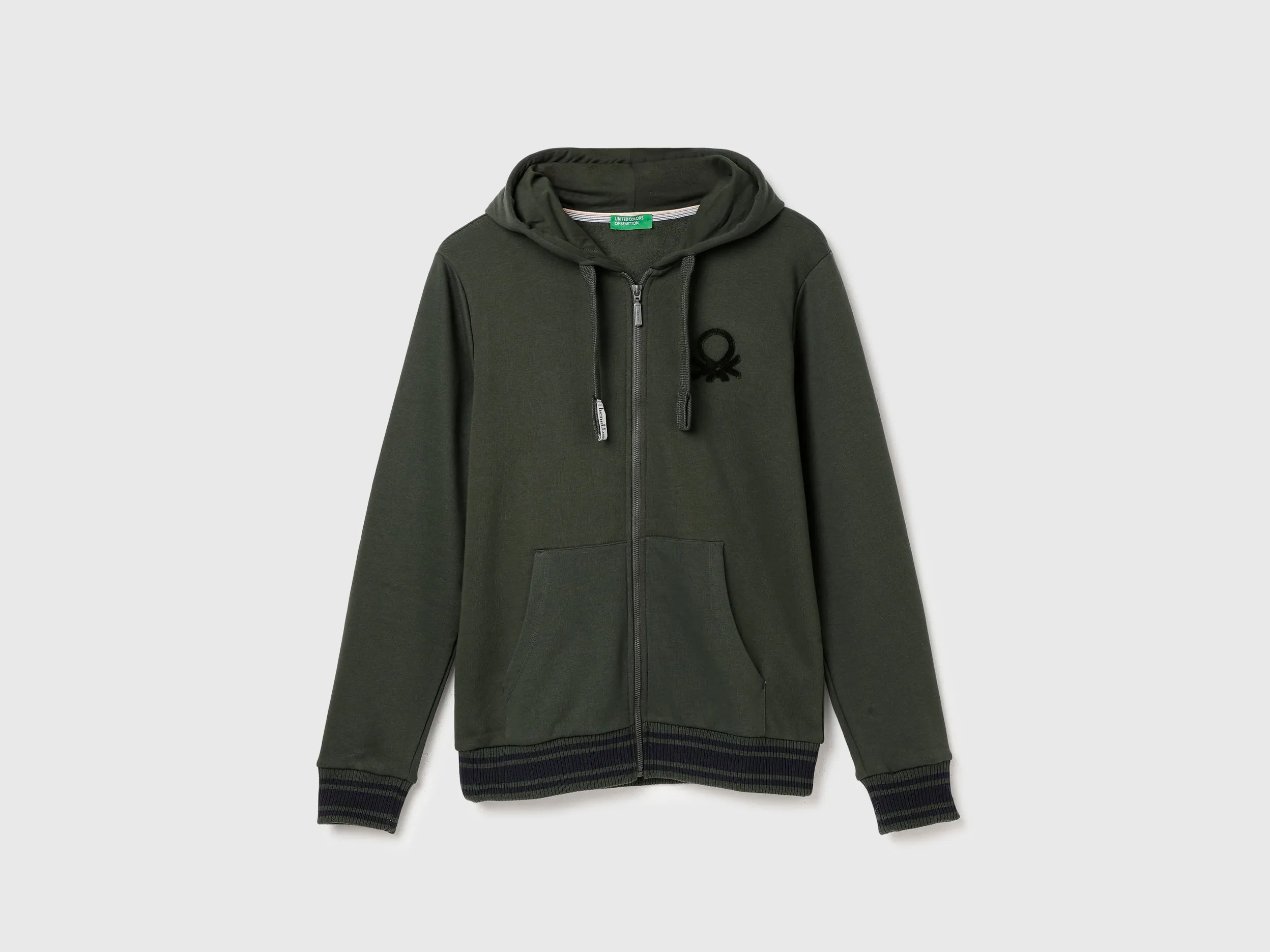 Regular Fit Hooded Solid Sweatshirt