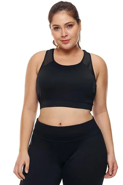 Sheer Mesh Back Plus Size Sports Bra