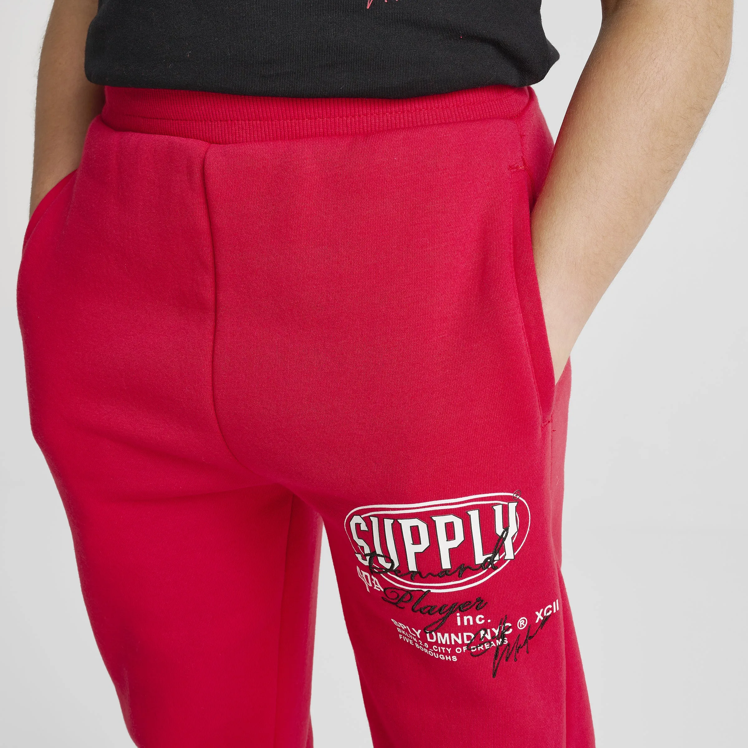 Supply & Demand Junior Boys' Targon Joggers / Chinese Red