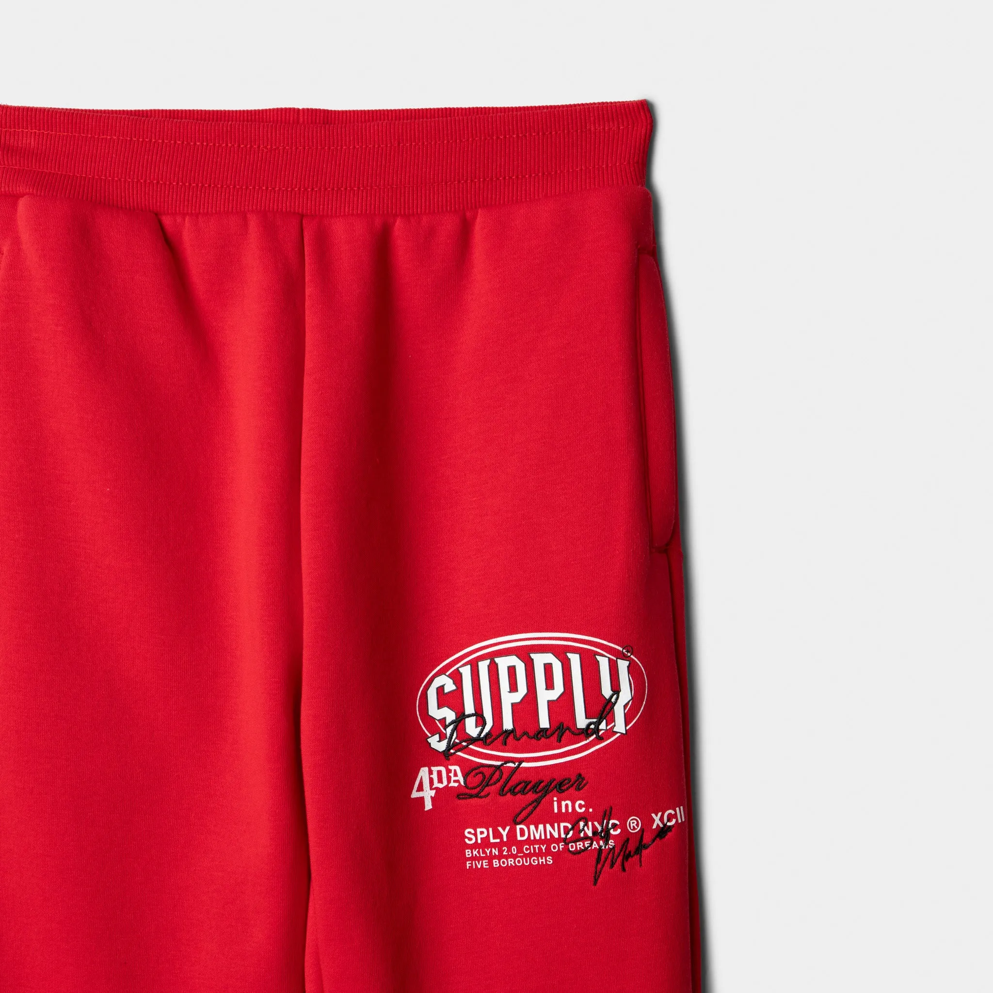 Supply & Demand Junior Boys' Targon Joggers / Chinese Red